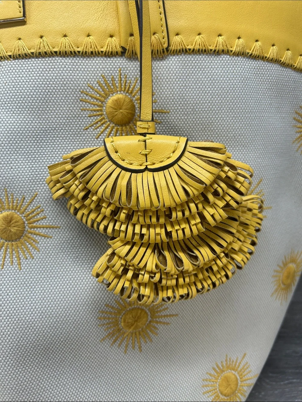 Kate Spade Pier Sun Embroidered Canvas Tote